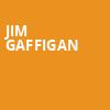 Jim Gaffigan, Dow Arena, Saginaw
